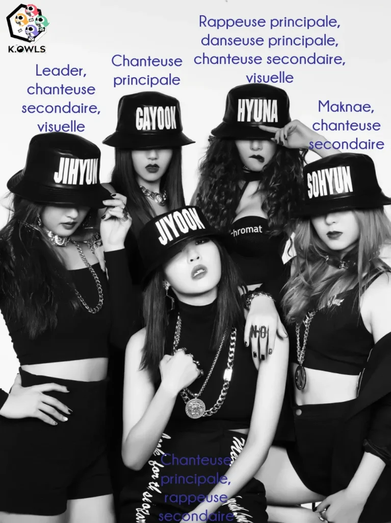 rôles 4minute k.owls