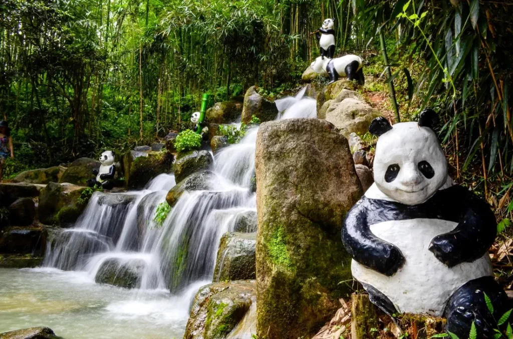 damyang juknokwon bamboo garden 4