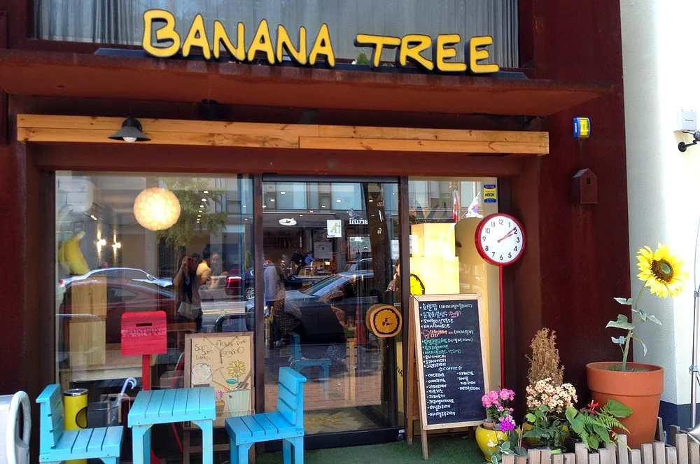 banana tree