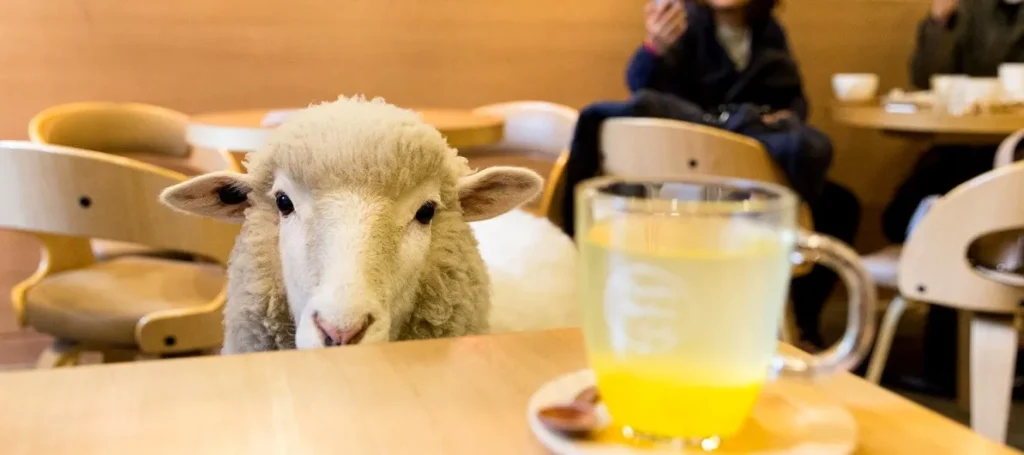 thanks nature cafe