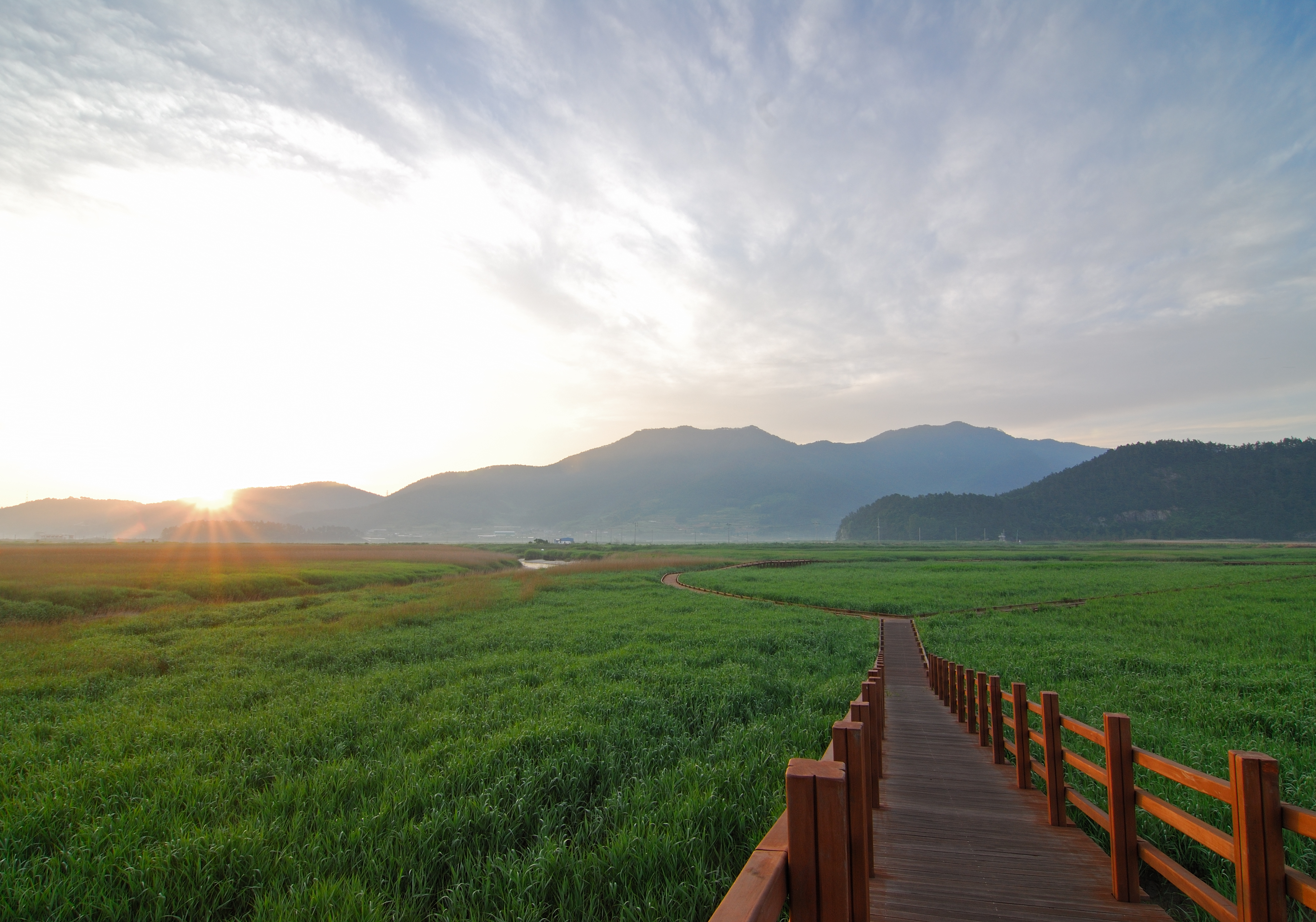 Suncheon