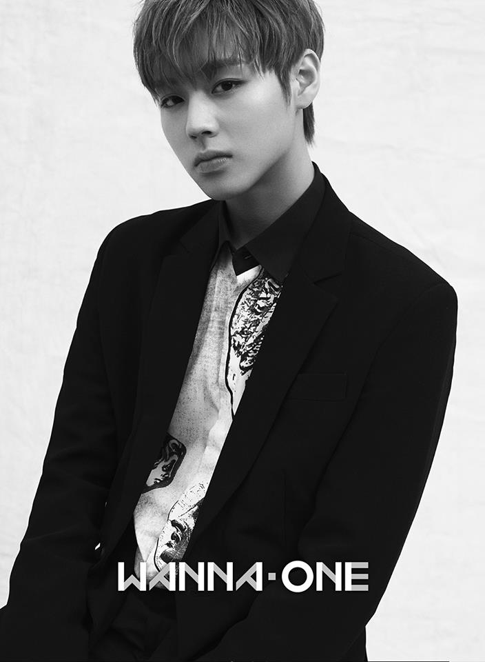 Produce 101 - Park Ji Hoon