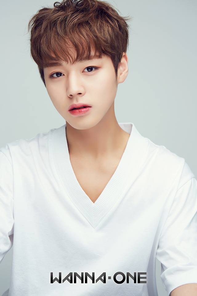 Produce 101 - Park Ji Hoon