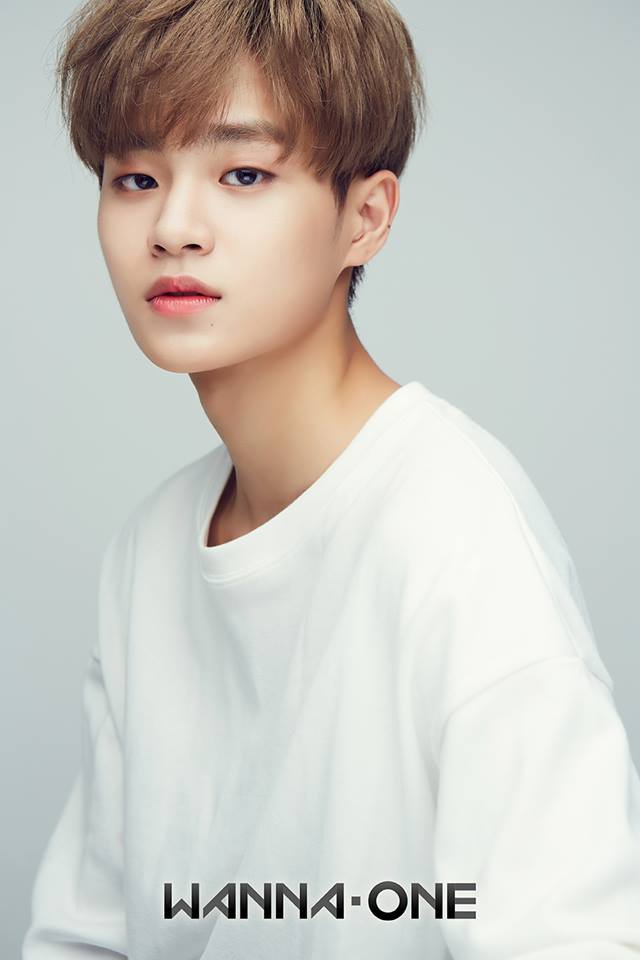 Produce 101 - Lee Dae Hwi