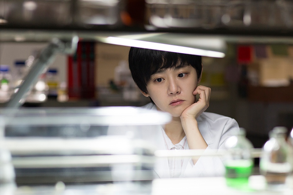 festival international du film de Busan