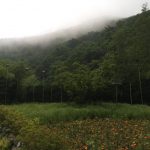 arôme