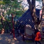 À la découverte de l’ermitage Hyangiram à Yeosu