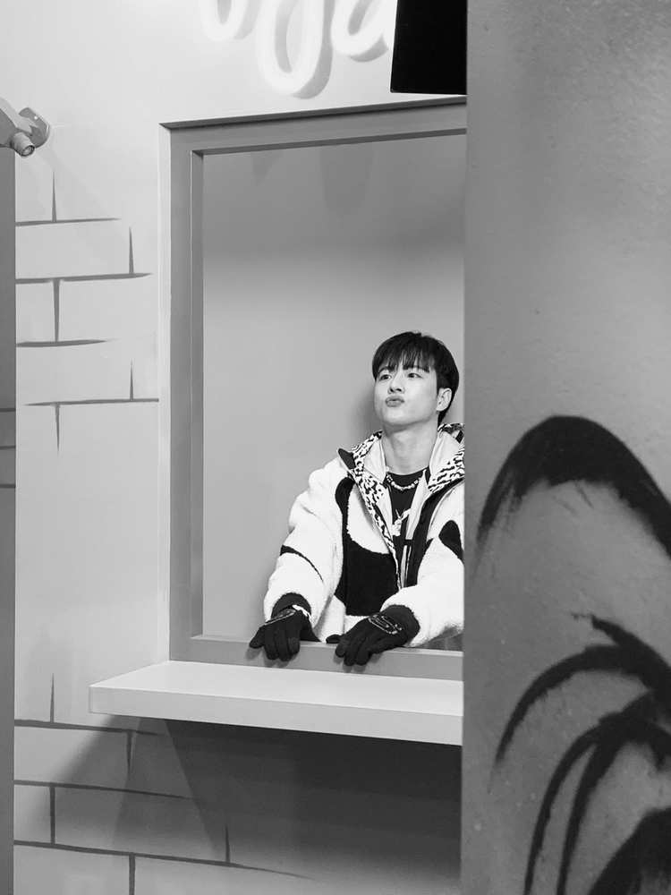 Feeldog