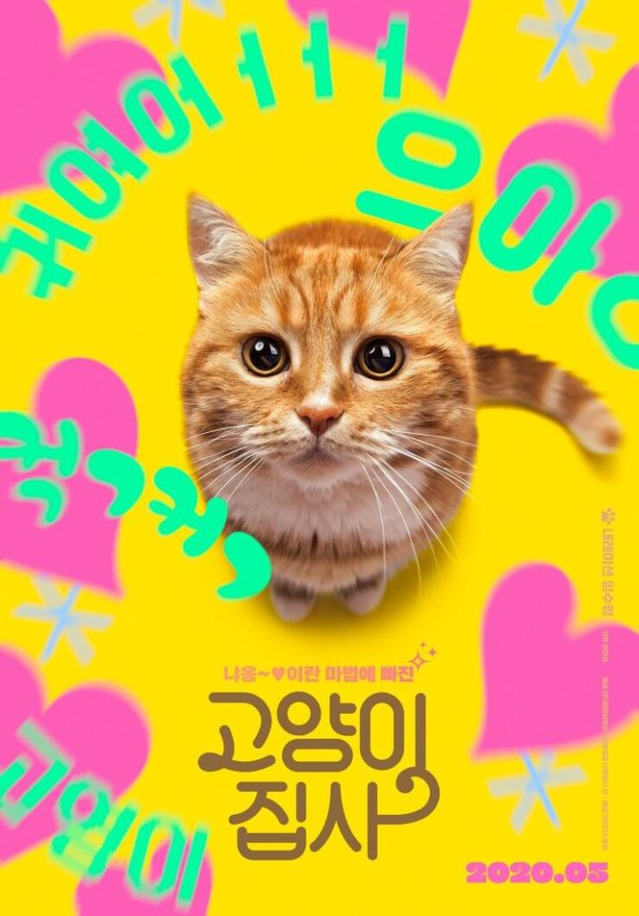 Sorties films du mois Mai 2020 - Our Cat