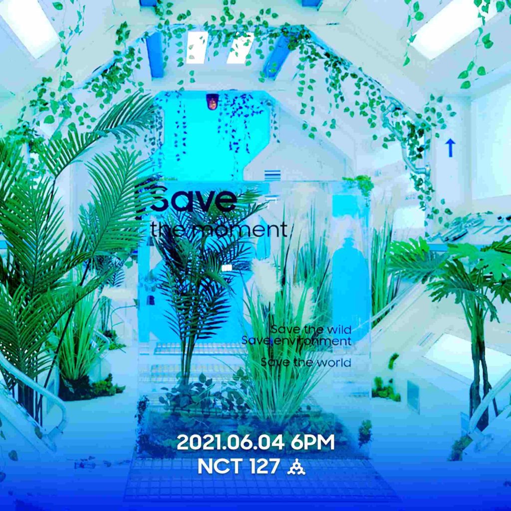 nct 127 amoeba culture