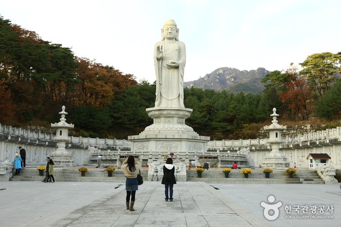 Daegu
