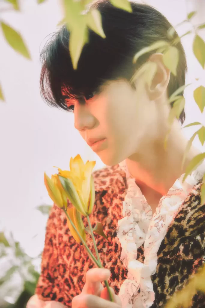 Yoseop Chocolate Box