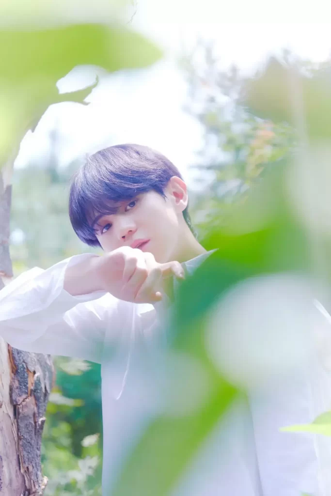 Yo Seop Chocolate Box