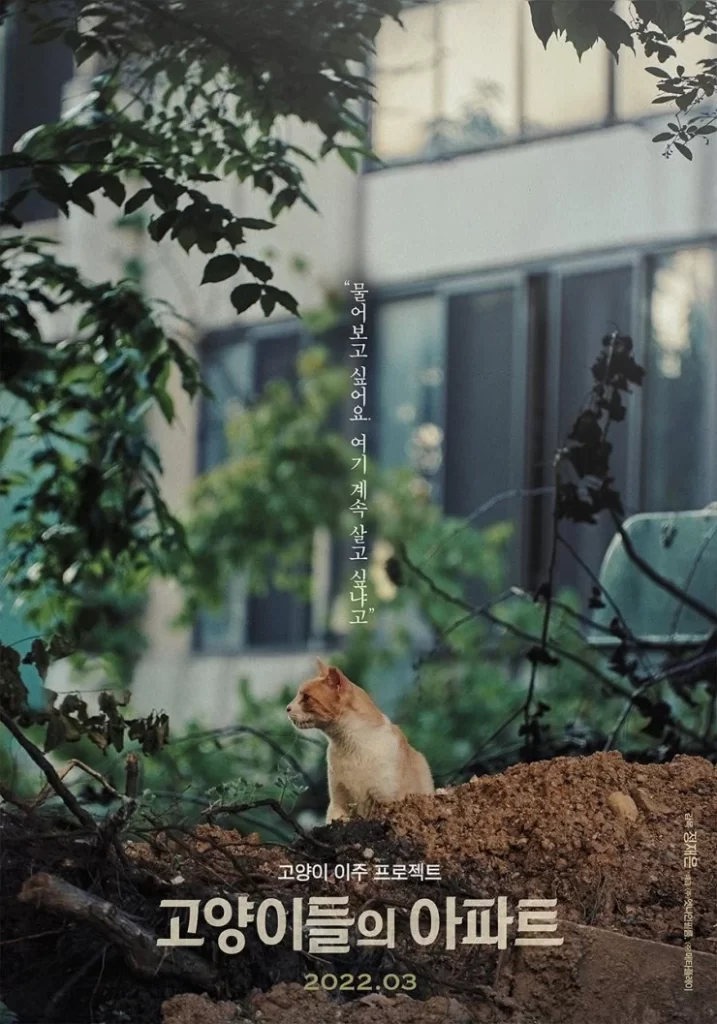 cats apartment
