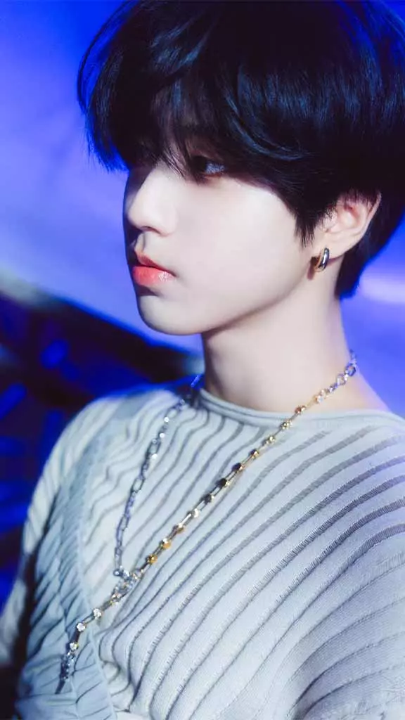 concept photo 2 SKZ fin 2023 HAN