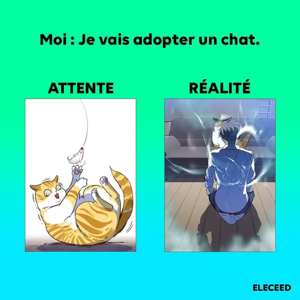 eleceed attente vs realite