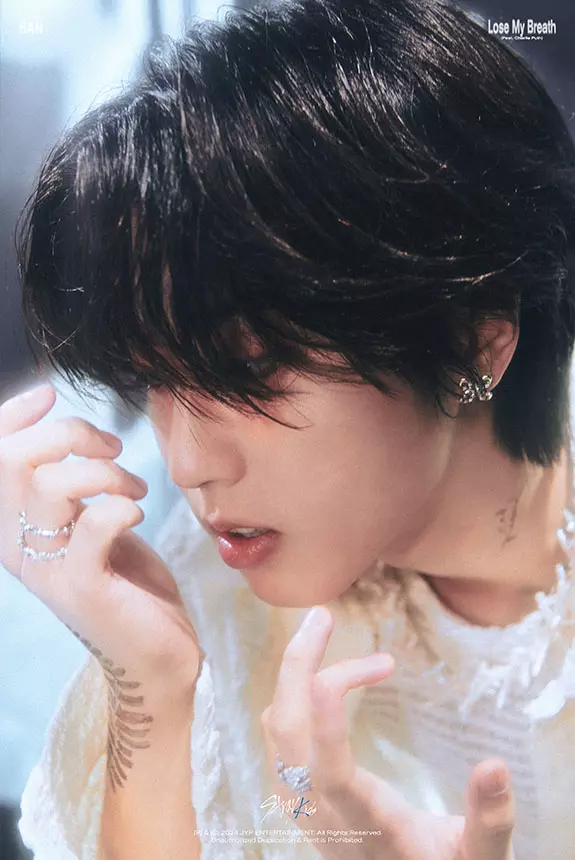 STRAY KIDS Lose My Beath concept photo HAN