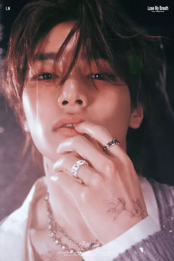 STRAY KIDS Lose My Beath concept photo I_N