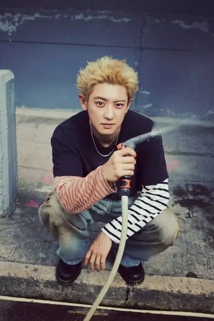 chanyeol 11 black out