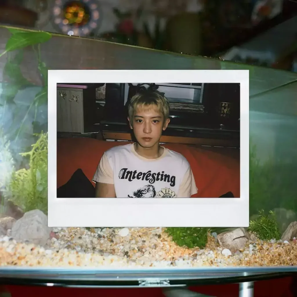 chanyeol 4 black out