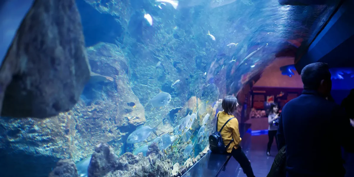 Un aquarium dans la capitale sud-coréenne Séoul