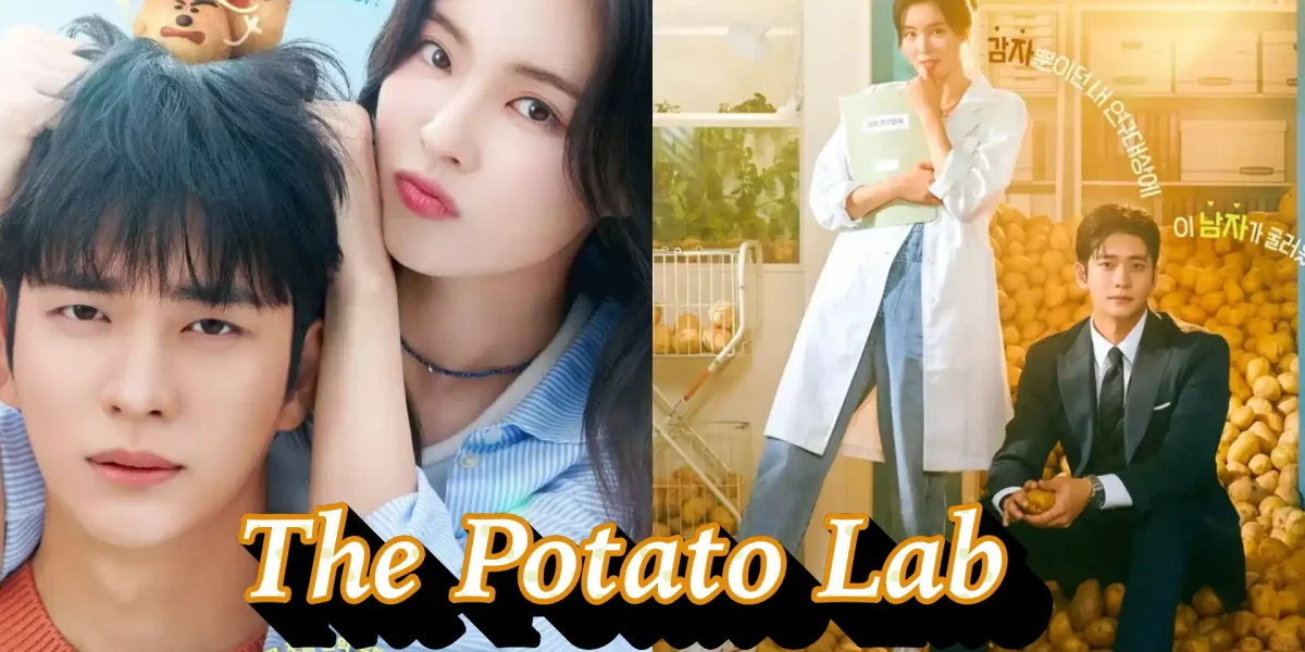 the potato lab review