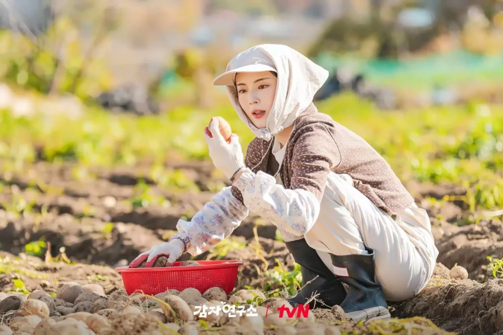 the potato lab review kim mi kyung chercheuse à la campagne