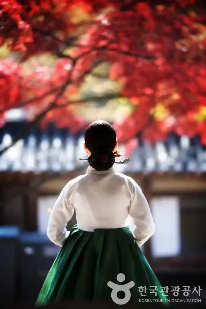 autumn hanbok2