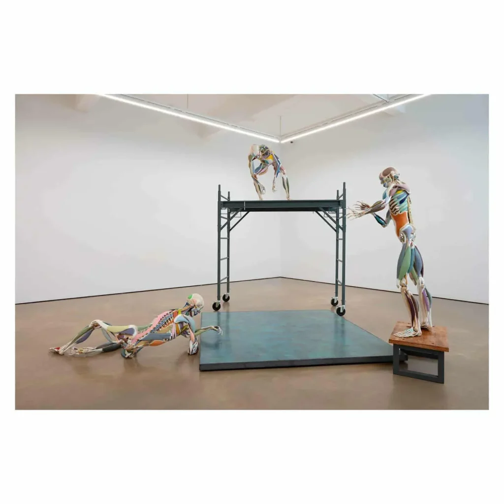 les écorchés de choi xooang