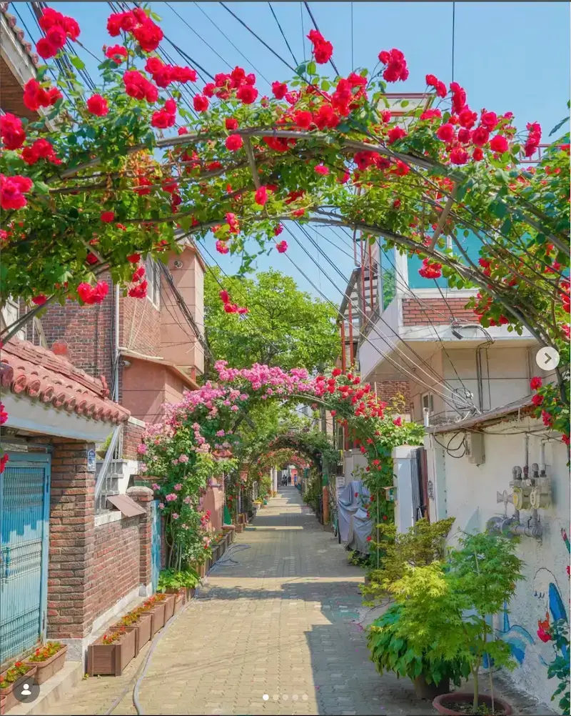cheonho rose village