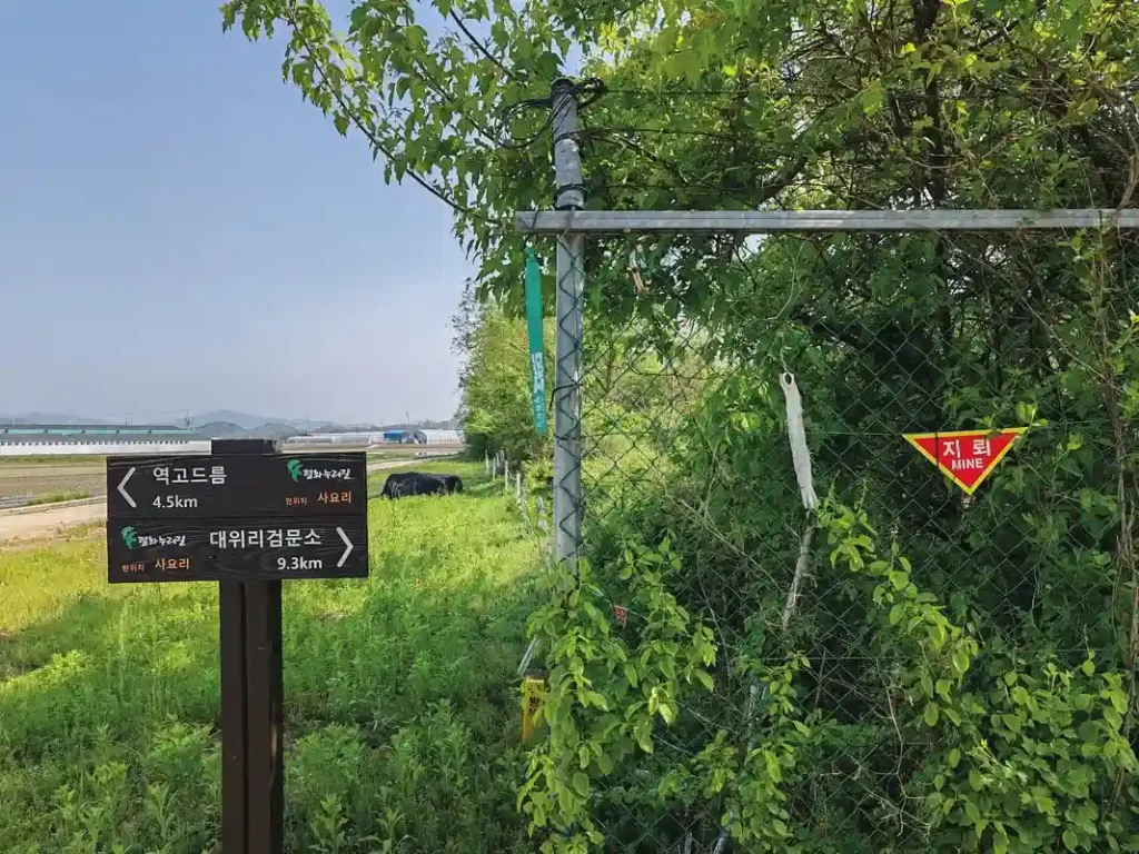 DMZ