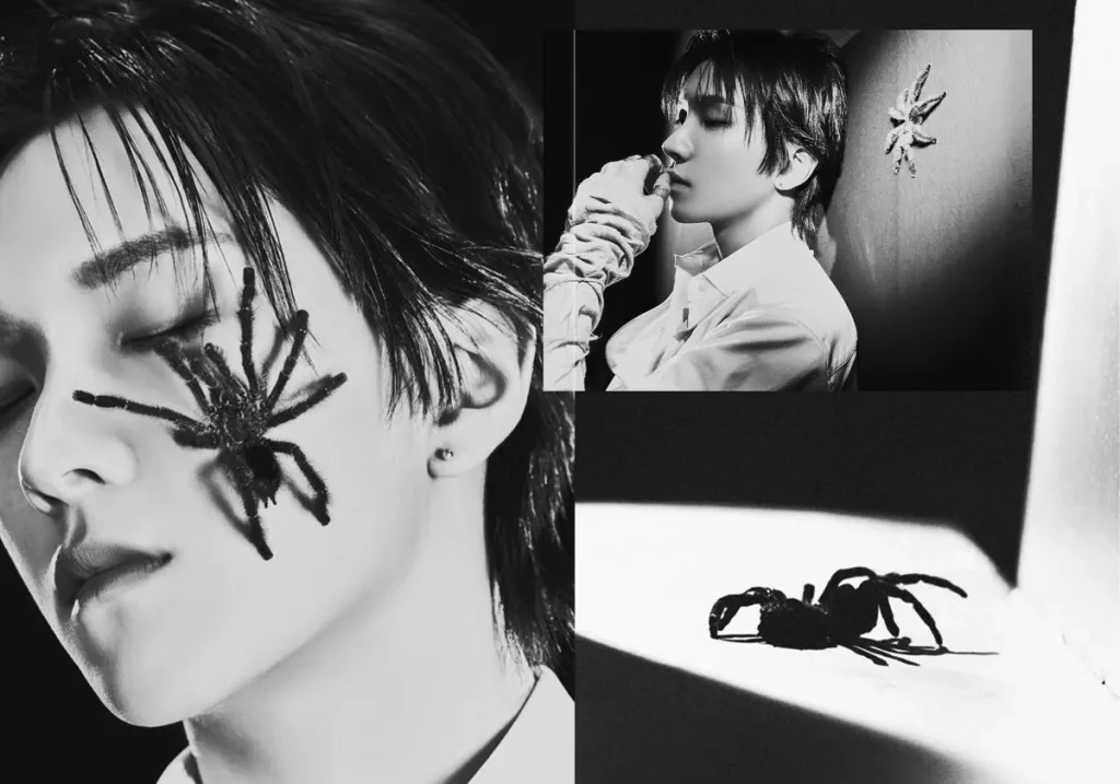 Weaver teaser Woon Hak
